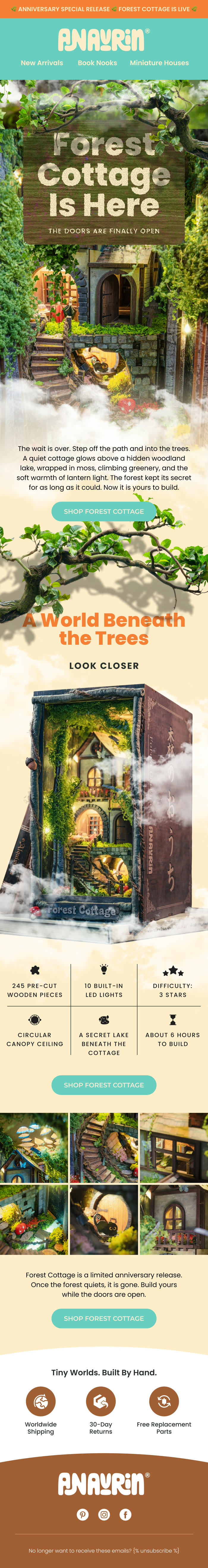 Email campaign creative for Anavrin